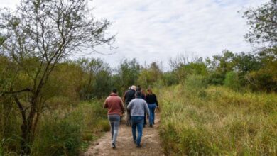 Photo of El Parque Provincial Cayastá, la novedosa propuesta para disfrutar el invierno en Santa Fe