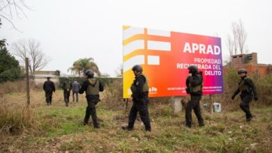 Photo of Provincia decomisó tres lotes de una organización criminal