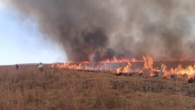 Photo of Estudian la incidencia del fuego en los humedales del río Paraná