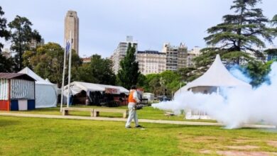 Photo of El municipio refuerza la fumigación en el predio de Colectividades