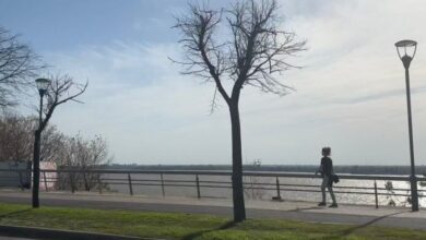 Photo of Clima en Rosario: temperaturas altas y posible lluvia al cierre del fin de semana