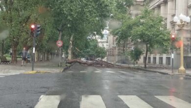 Photo of La fuerte tormenta dejó un tendal de árboles caídos en Rosario y cortes de luz en Santa Fe